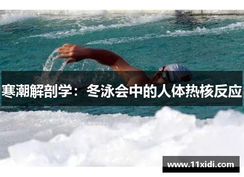 寒潮解剖学：冬泳会中的人体热核反应