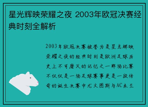 星光辉映荣耀之夜 2003年欧冠决赛经典时刻全解析