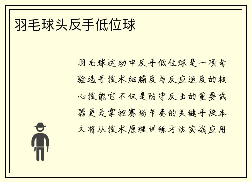 羽毛球头反手低位球